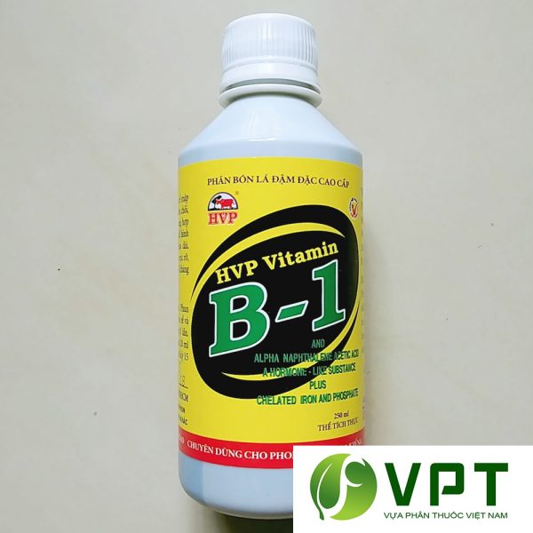 vitamin b1 hvp kich re