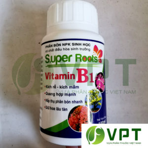Vitamin B1 Super Roots kích rễ, kích mầm